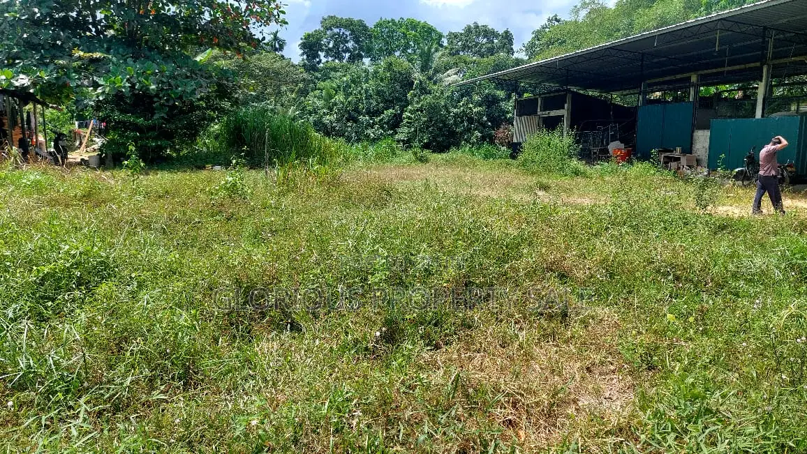Land for Sale – Horana, Poruwadanda, Maputugala
