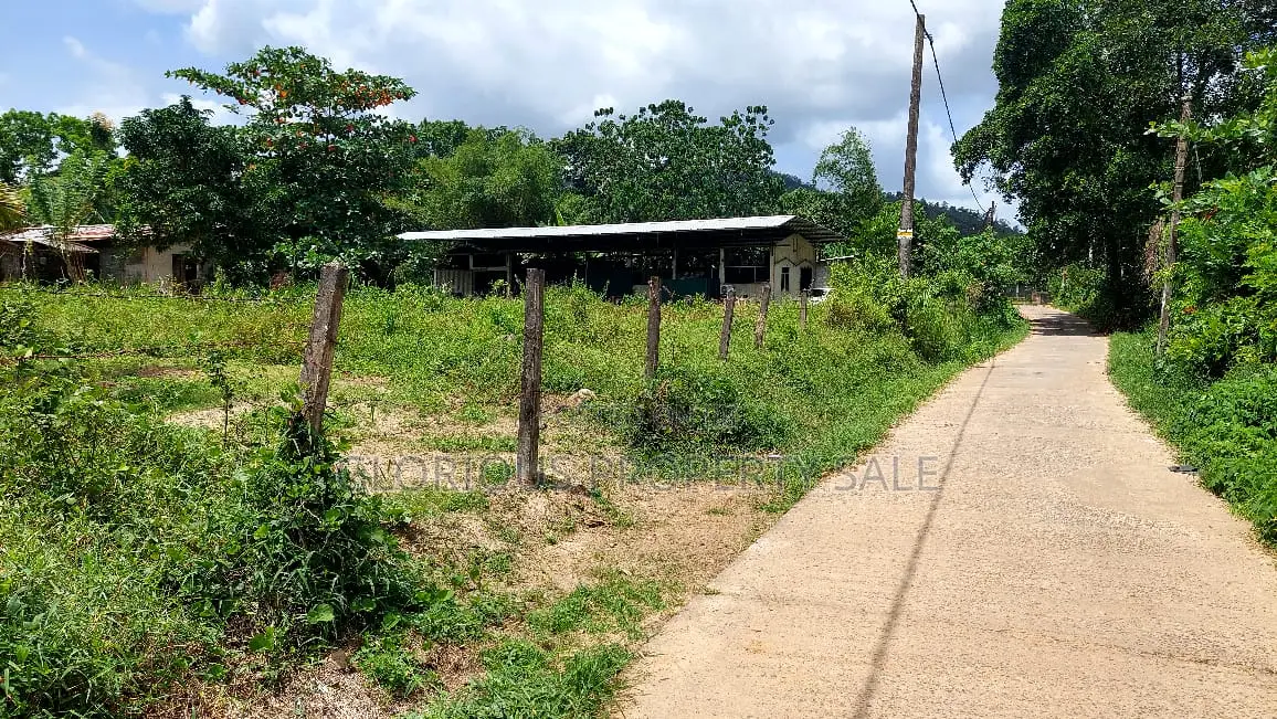 Land for Sale – Horana, Poruwadanda, Maputugala
