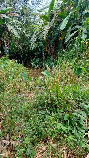 Land for Sale – Horana, Poruwadanda, Maputugala