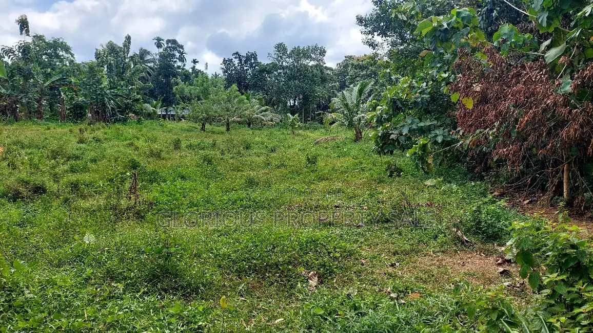 Land for Sale – Horana, Poruwadanda, Maputugala