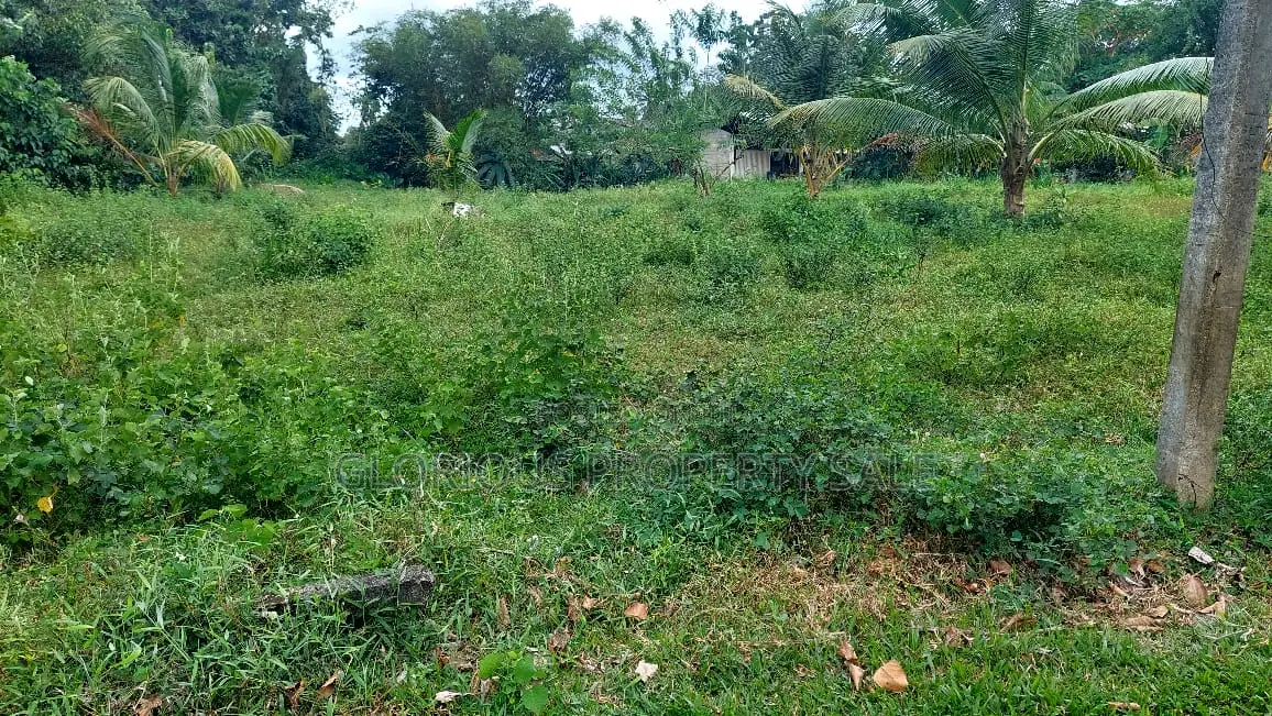 Land for Sale – Horana, Poruwadanda, Maputugala