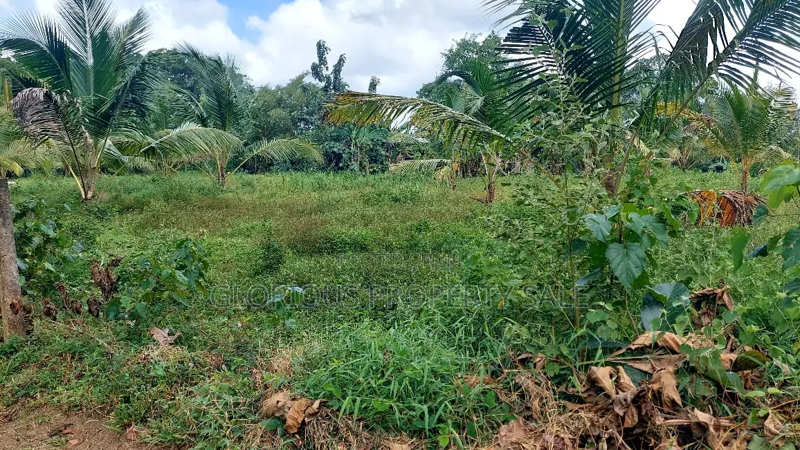 Land for Sale – Horana, Poruwadanda, Maputugala