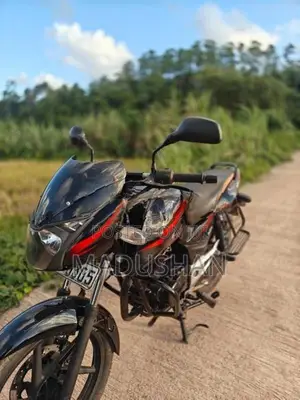 Bajaj Pulsar 150 2010