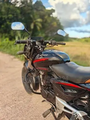 Bajaj Pulsar 150 2010