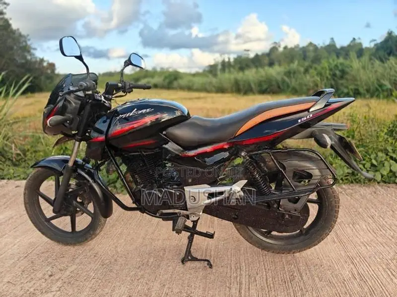 Bajaj Pulsar 150 2010