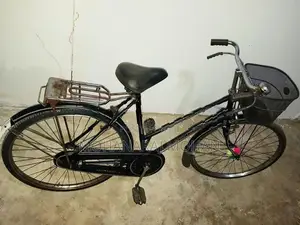 Lumala Lady's Bicycle
