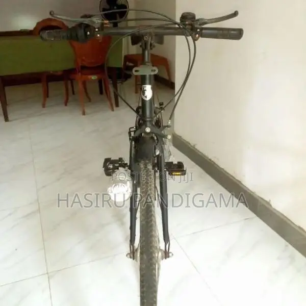 American Eagle Bicycle