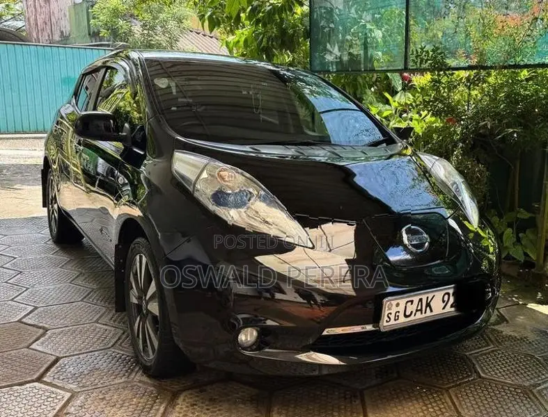 Nissan Leaf 2014