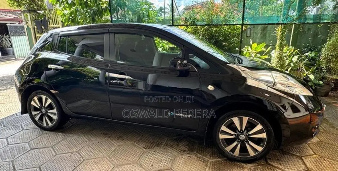 Nissan Leaf 2014