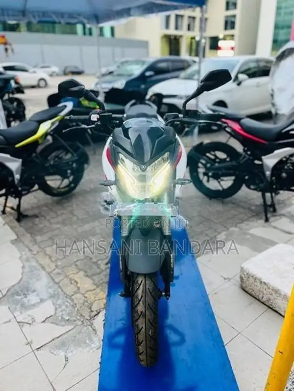 Bajaj Pulsar NS200 Brand New 2026