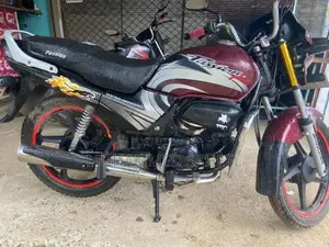 Hero Passion Plus 2011