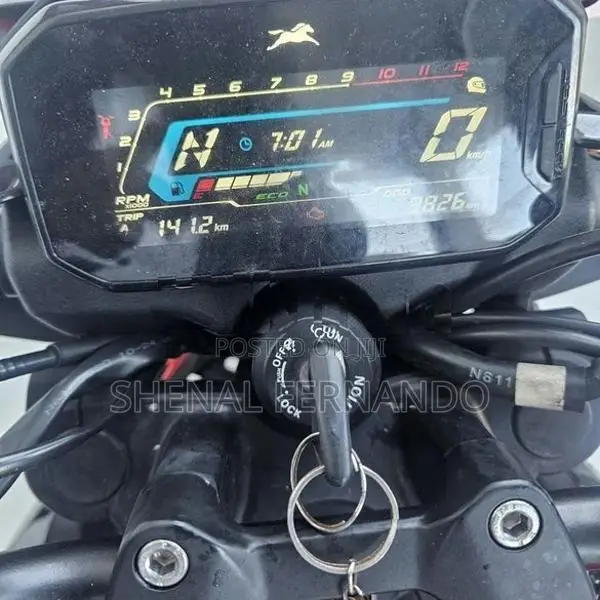 TVS Raider 125 2024