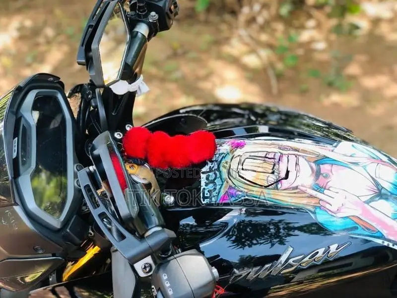 Bajaj Pulsar NS200 2025