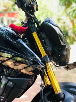 Bajaj Pulsar NS200 2025