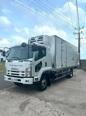 Isuzu Elf 20ft Freezer Lorry 2011
