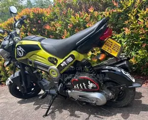 Honda Navi 2017