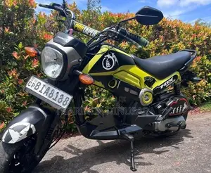 Honda Navi 2017