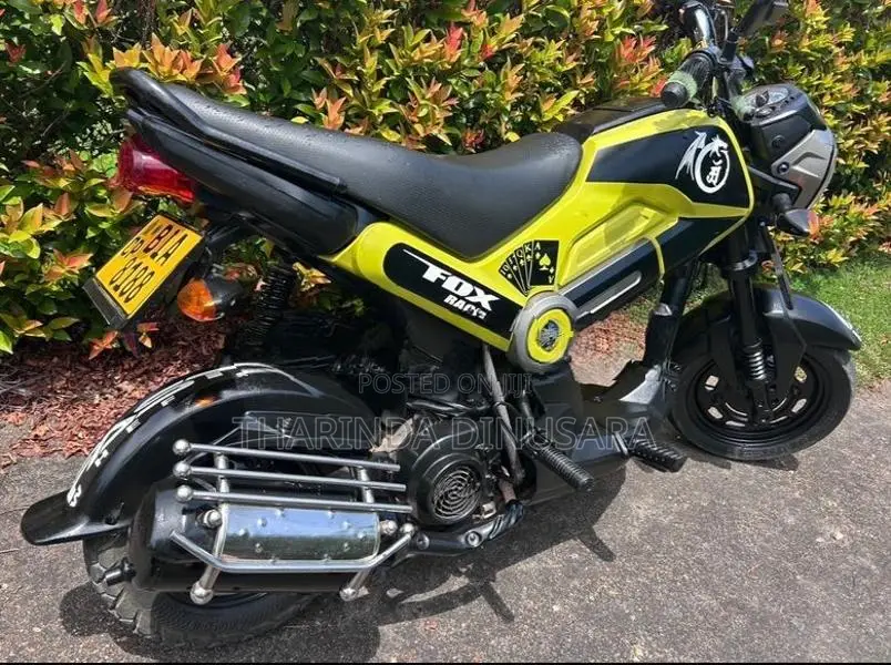 Honda Navi 2017
