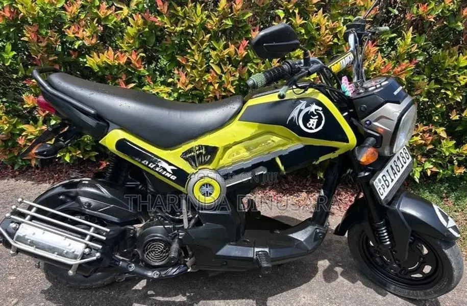 Honda Navi 2017