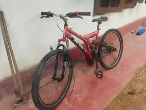 Dsi Bicycle