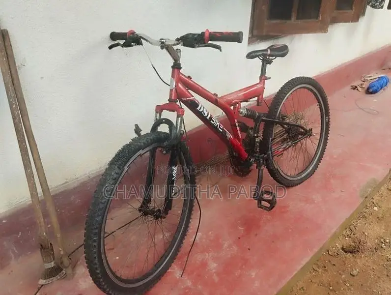 Dsi Bicycle