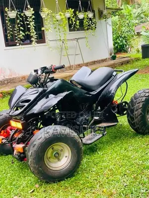 Honda Atv 2022