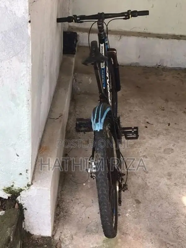 Sprng Gear Bicycle