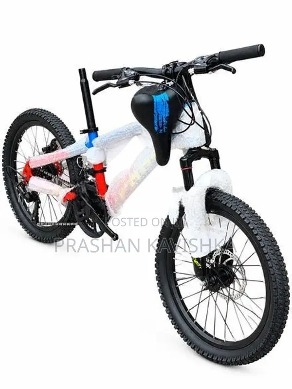 BMX 20' Bicycle