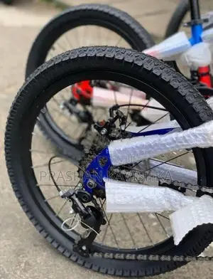 BMX 20' Bicycle