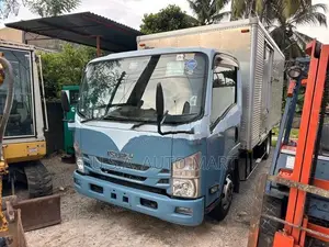 Isuzu Elf 2019
