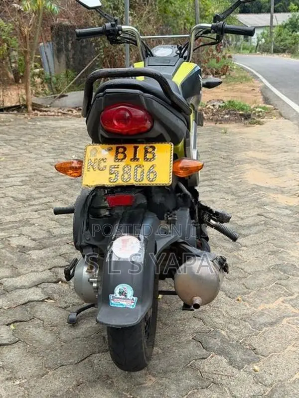 Honda Navi 2019