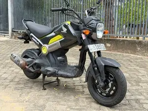 Honda Navi 2019