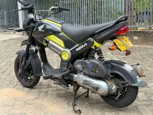 Honda Navi 2019