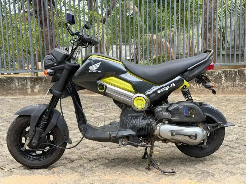 Honda Navi 2019
