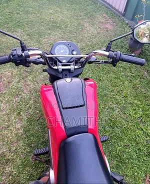 Honda Navi 2017