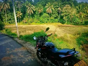 Bajaj Pulsar 150 2014
