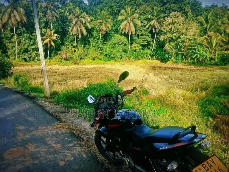 Bajaj Pulsar 150 2014