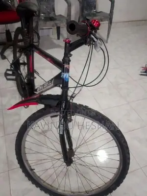 DSI Bicycle