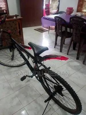 DSI Bicycle