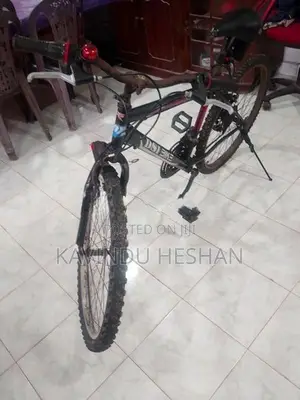 DSI Bicycle