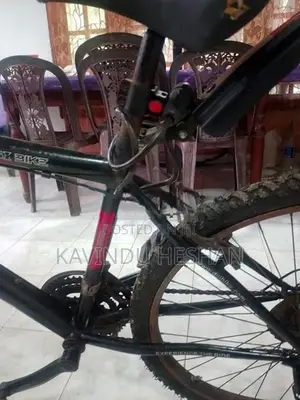DSI Bicycle