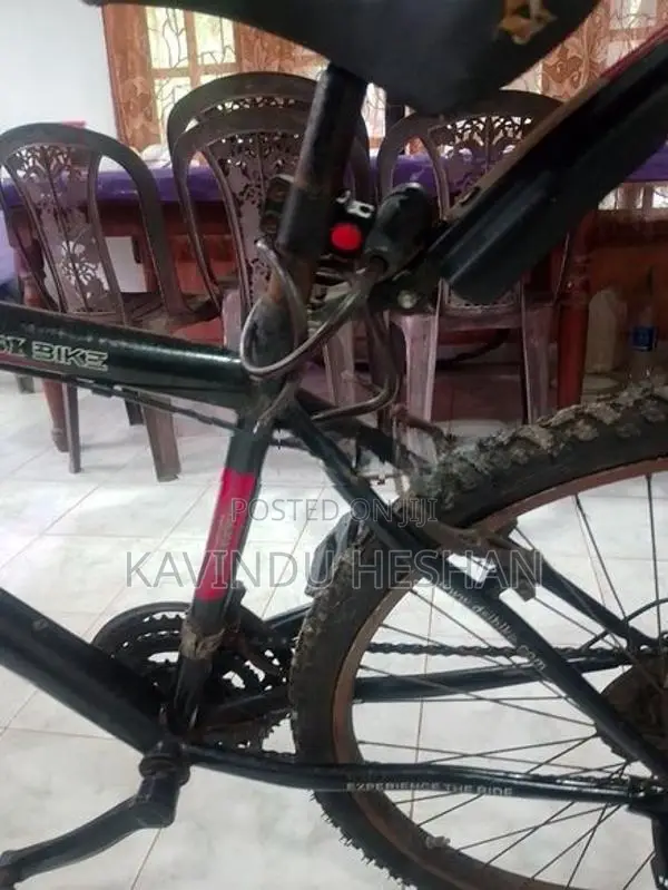 DSI Bicycle