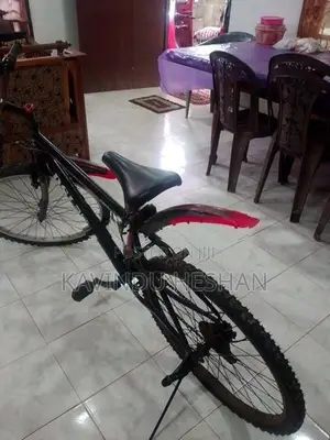 DSI Bicycle