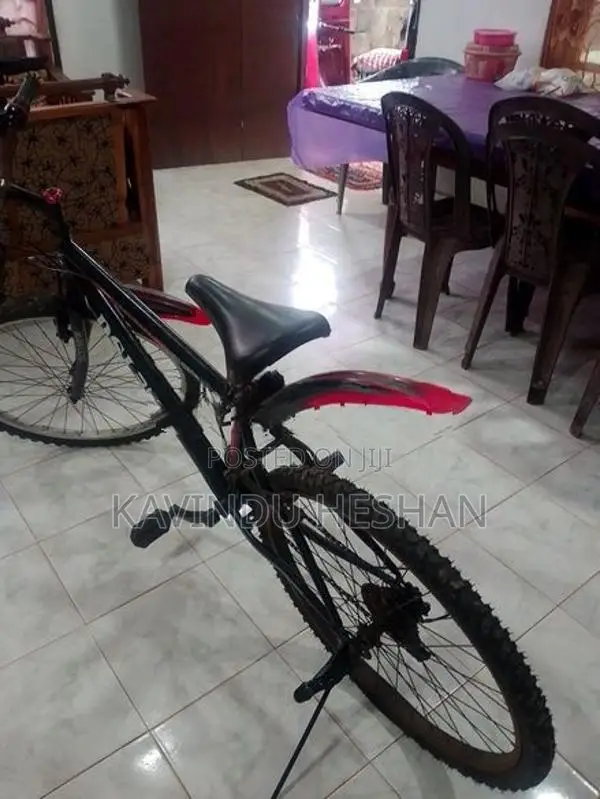 DSI Bicycle