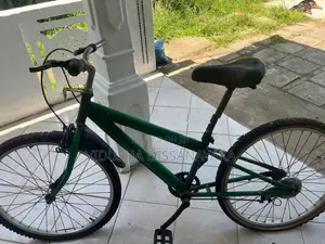 DSI/BMX Bicycle (24 Inches)