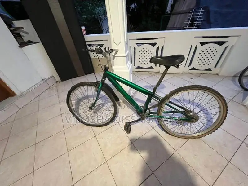 DSI/BMX Bicycle (24 Inches)