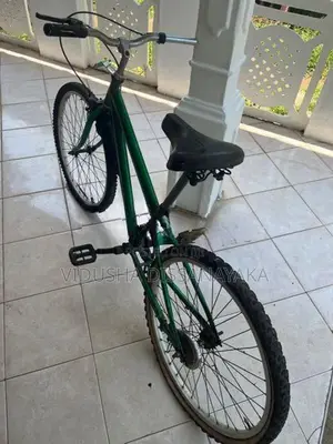 DSI/BMX Bicycle (24 Inches)