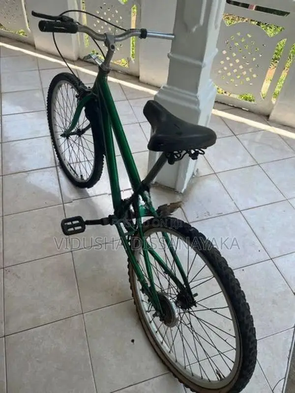 DSI/BMX Bicycle (24 Inches)