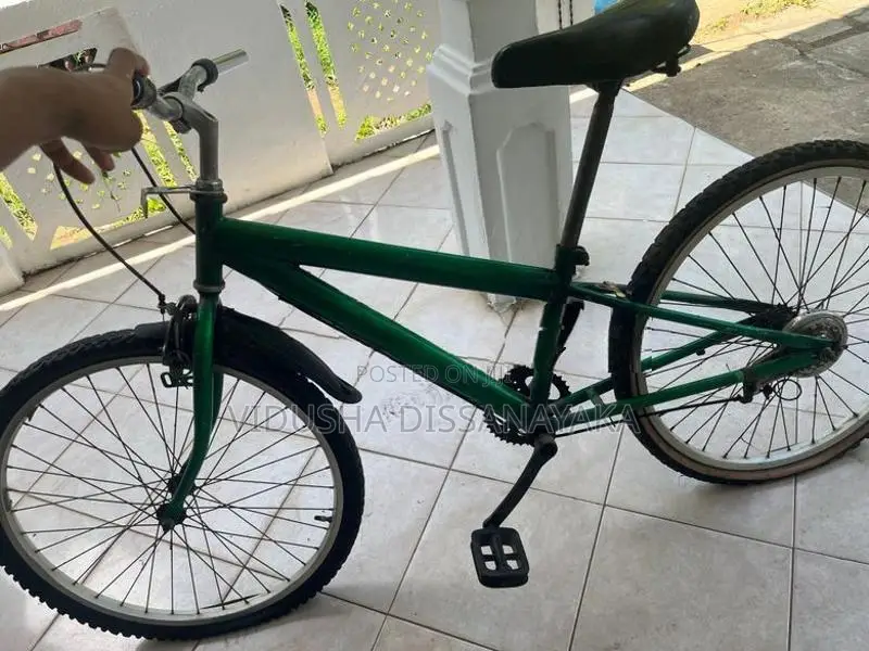DSI/BMX Bicycle (24 Inches)