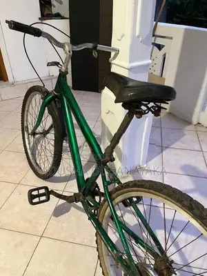 DSI/BMX Bicycle (24 Inches)